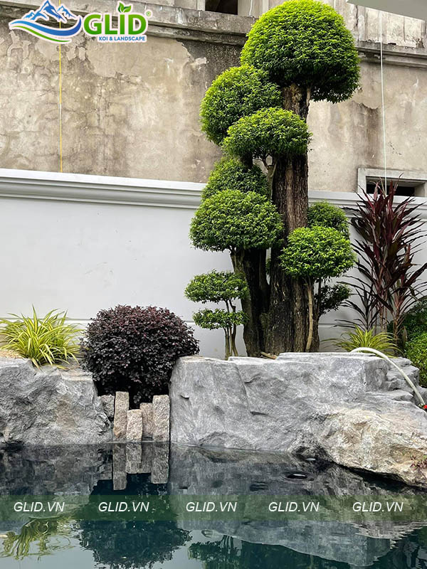 Thiết Kế Thi Công Sân Vườn Vĩnh Phúc